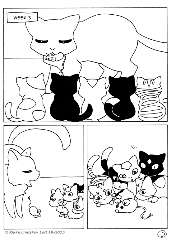 Black Cat - Page 3
